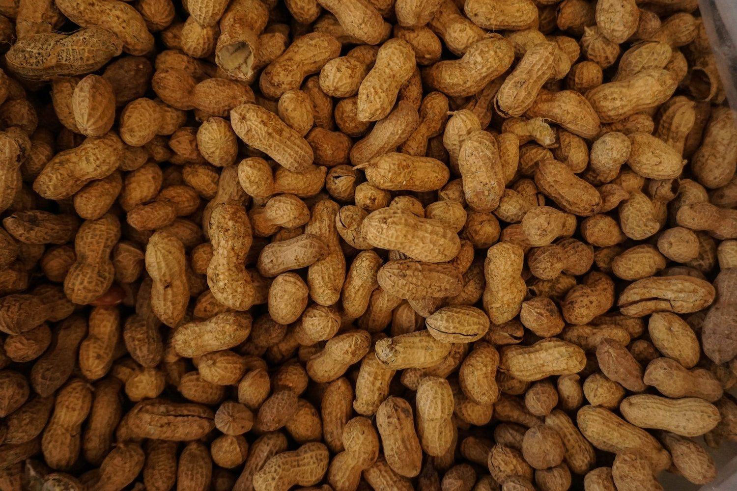 Roll Away the Aches: 3 Effective Exercises with a Peanut Roller